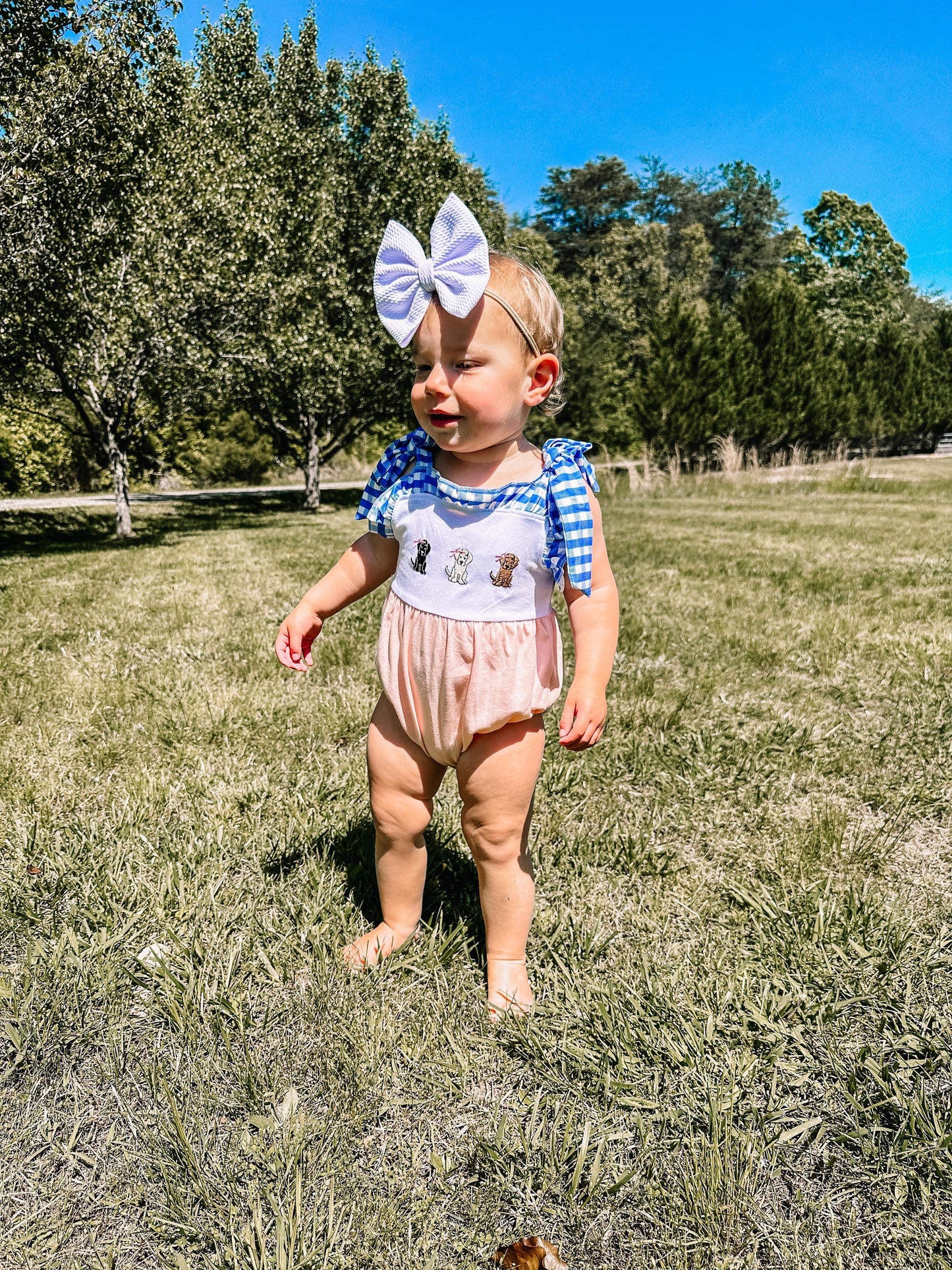 Dog Romper